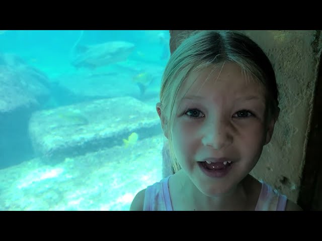 Tracking the Pond Monster to Secret Lair in Atlantis!!!