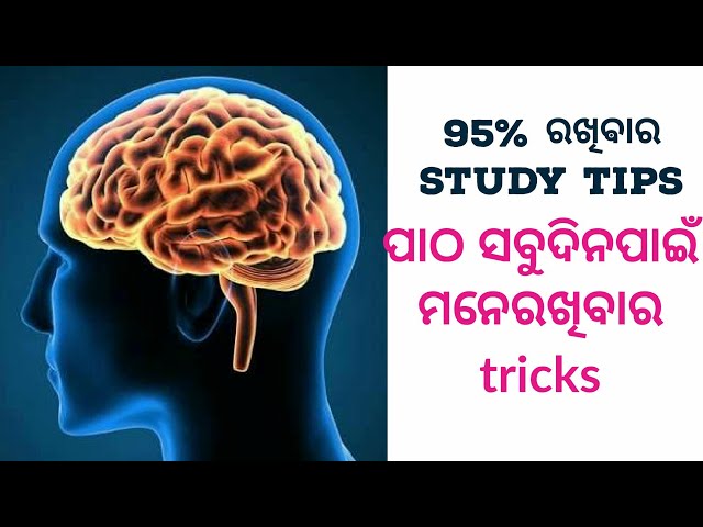 Odia| || Best study tips | | odia | how to member the study | odia | exam tips.
