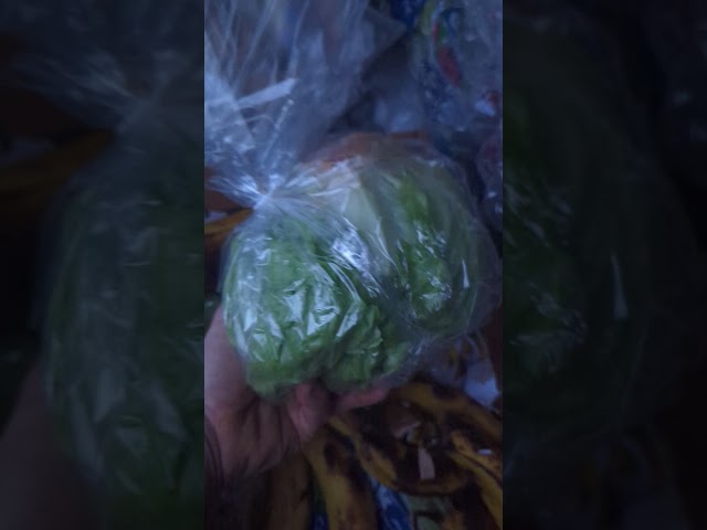 Food Waste #waste #picking #dumpsterdiving