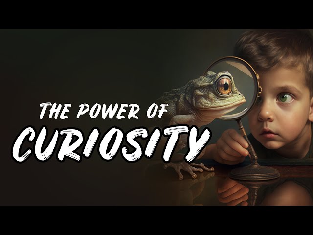 The Power of Curiosity: Exploring the Surprising Science of How We Learn