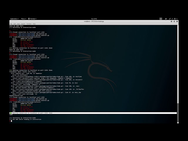 Pwntools: Pwn Template + Input/Output