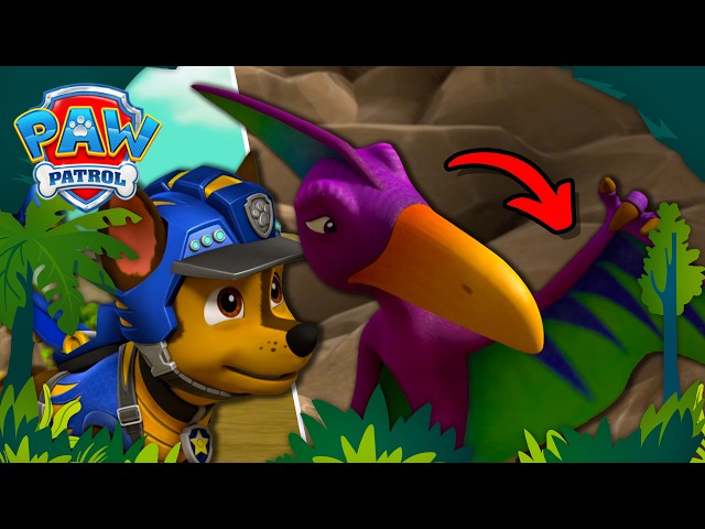 Chase Helps an Injured Pterodactyl! | PAW Patrol Dino Rescues 🦖