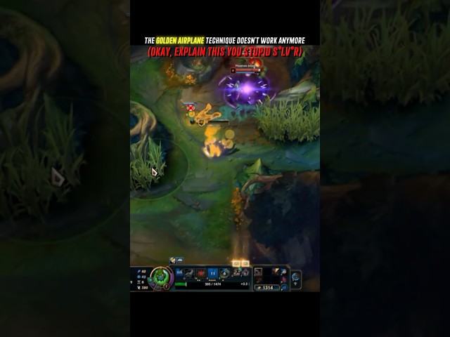 NEVER Disrespect the golden tome of techniques (lore)