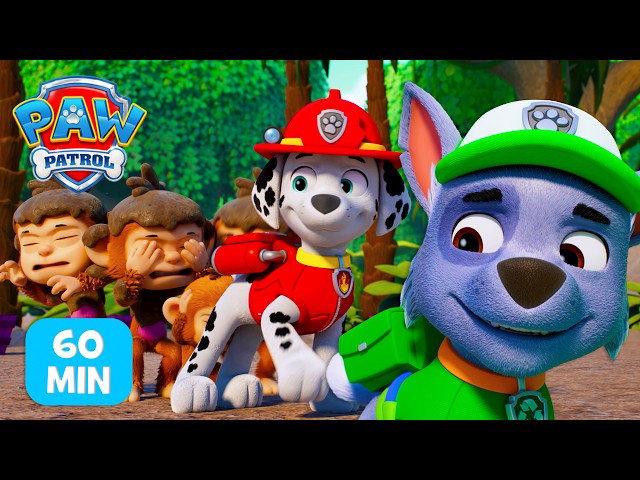 Die Kokosnuss-Katapult spielt verrückt! 🥥🐵 | PAW Patrol Auf Deutsch
