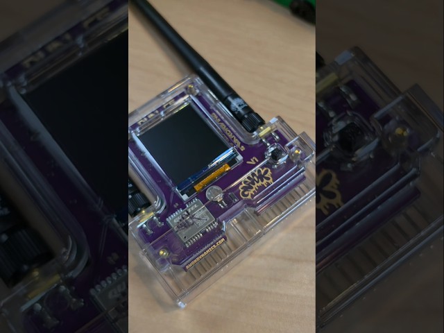 My Ultimate Hacker EDC: Flipper Zero, Hak5 & More! #Shorts