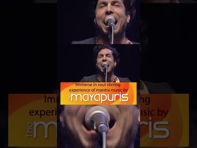 Ananda mela 2025
