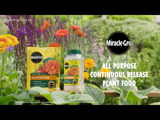 Miracle-Gro® Plant Food Granules – All Purpose | Feed Once, Enjoy All Season