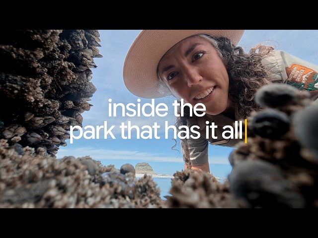 The world’s top nature searches answered in one epic national park | Searching For