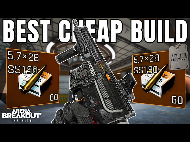 THE CHEAPEST META WEAPON BUILD TO GET RICH  | Arena Breakout Infinite