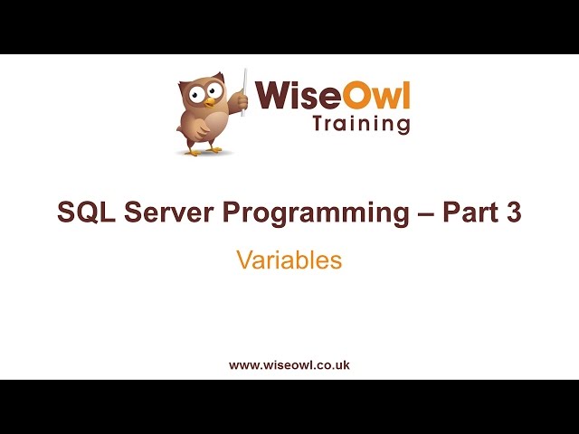 SQL Server Programming Part 3 - Variables