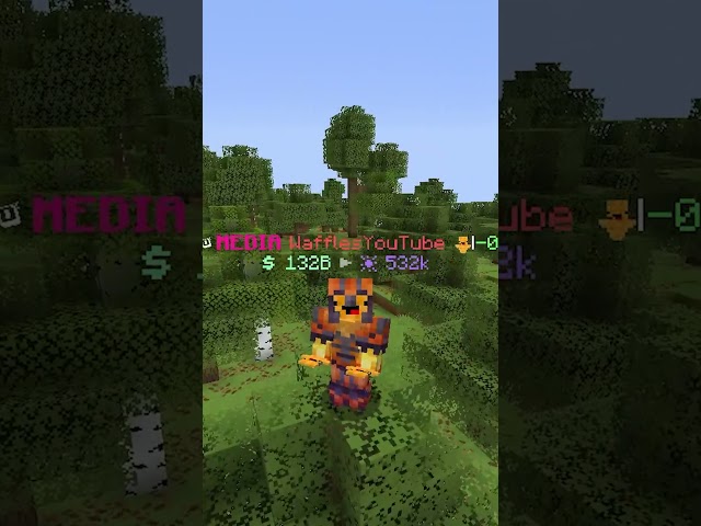 1 Sub = 10 Elytras #minecraft #shoresmp #shorts