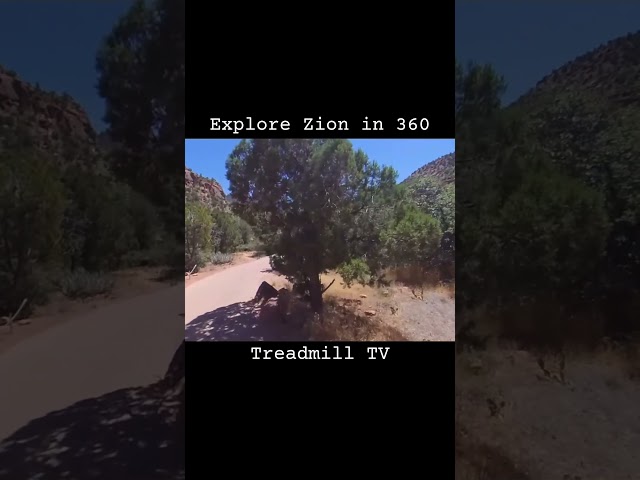 Experience VR!
