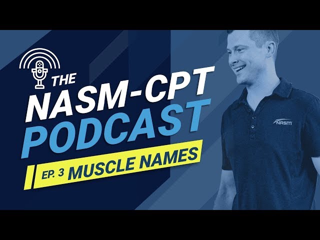 How to Remember the Names of the Muscles - The NASM-CPT Podcast