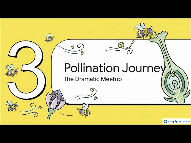 How Do Plants Reproduce? | Plant Reproduction Explained | Simply Science