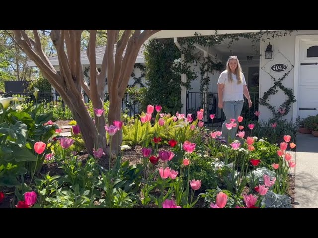 🌷🌼Private Garden tour at Janeys || @Dig, Plant, Water, Repeat