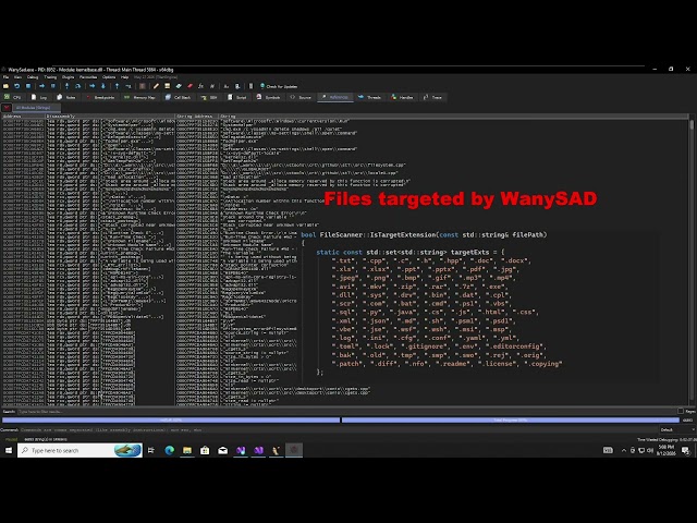 Malware Analysis: Reverse Engineering My Own Ransomware (WanySad.exe)