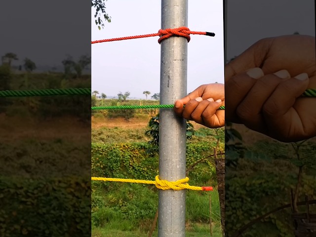 Useful Knots & Clever Tricks! 💯