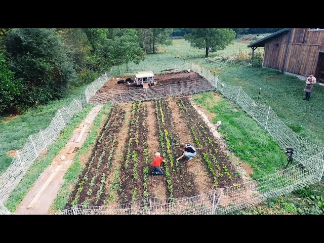 Everything We Learned Building a 10-Acre Homestead (from Scratch)