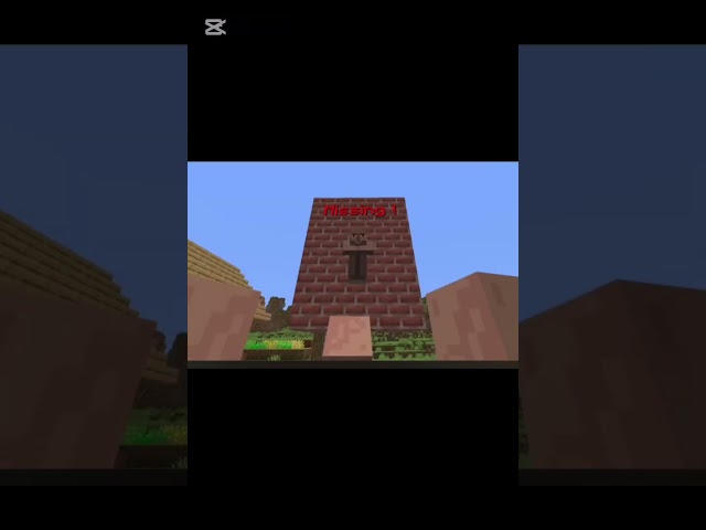 CARRY AND DOORBIN MINECRAFT VIDEO