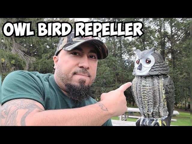 Owl Solar Bird Repellent Review