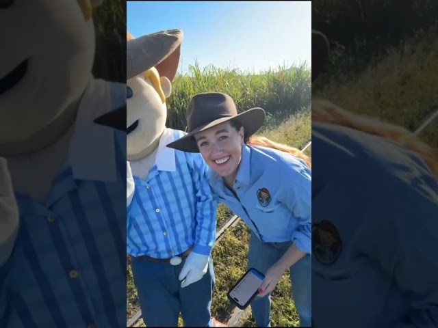 BTS Making the Learn about Sugarcane with George the Farmer video