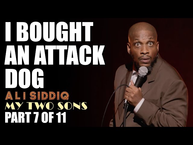 I Bought an Attack Dog (Part 7 of 11) | Ali Siddiq: My Two Sons | Stand Up Comedy