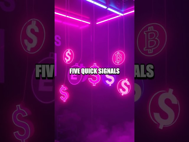 Behind the Smoke Screen Crypto Crashes and Hidden Bets