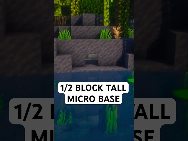 SECRET 1/2 Block Hidden Base in Minecraft!