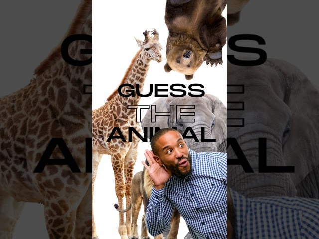 Guess the Animal Sound #shorts #animalsound #guessthesound