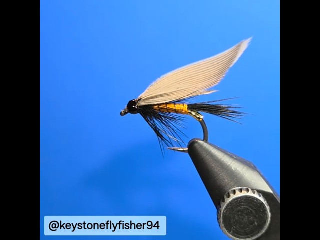 Silk Wetfly