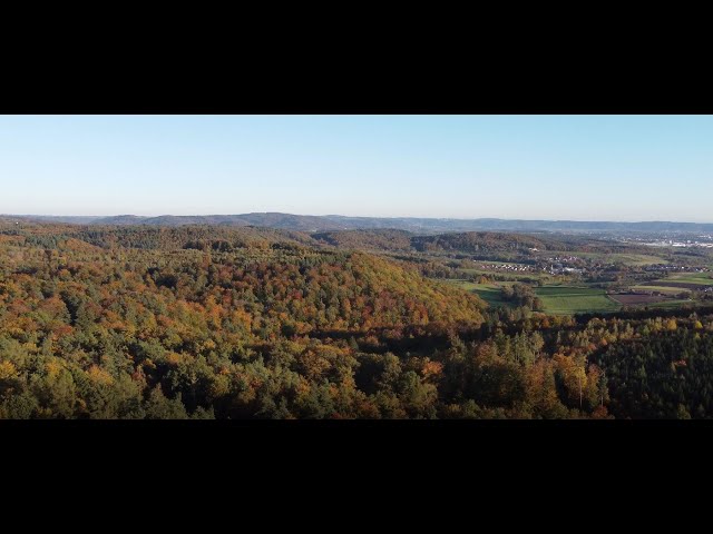 Goldener Herbsttag
