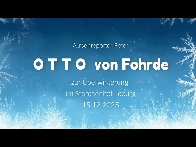 O T T O  von Fohrde  - zur Überwinterung -  im Storchenhof Loburg - Außenreporter Peter