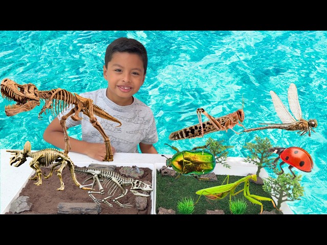 Two Worlds Dinosaur Fossils vs. Insect Toys | Learn Diorama insect and dinosaur names