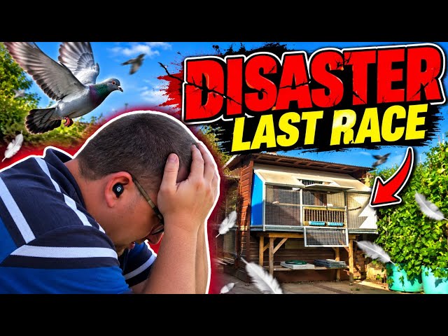 We WON but it was a disaster !!!! 