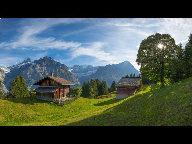Chasing Fall Foliage: The Most Scenic Hikes in the Swiss Alps Right Now