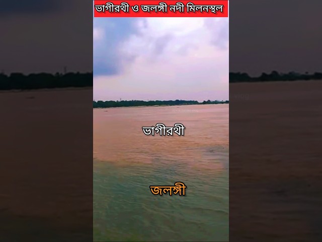 ভাগীরথী ও জলঙ্গী নদীর মিলনস্থল #ytshorts #shorts #mayapur #nabadwip #viralvideo #bhagirathiriver