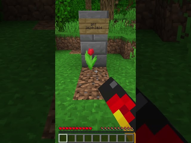 RIP bat friend  #minecraft #mining #gaming #diamond #minecraftmemes