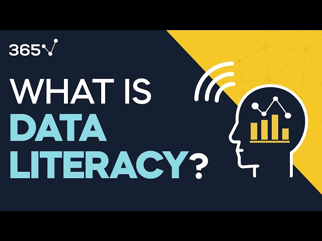 What is Data Literacy ?