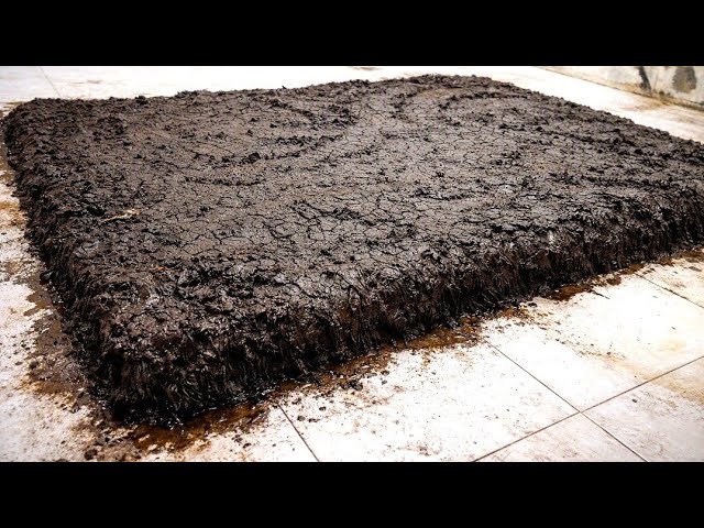 Extremely Dirty Rug Restoration |Deep Carpet Cleaning ASMR Transformation | Rug Cleaning Satisfying