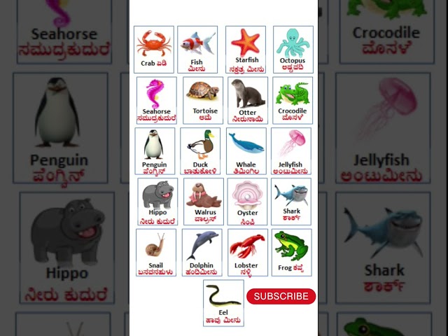 Water Animals Name In English And Kannada// ಕನ್ನಡದಲ್ಲಿ ಇಂಗ್ಲಿಷ್‌ನಲ್ಲಿ ನೀರಿನ ಪ್ರಾಣಿಗಳ ಹೆಸರು