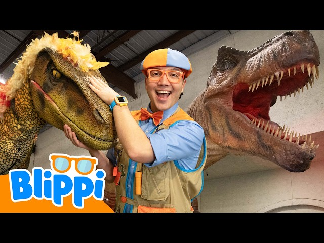 Jurassic Quest Adventure | Playground & Dinos | Educational Videos for Kids