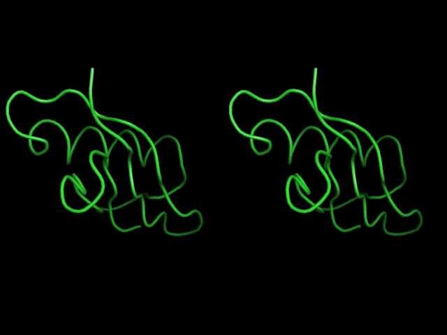 1GB1 nmr sa xplor 3d