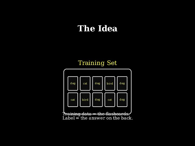 Training Data & Labels: Why Examples Beat Code
