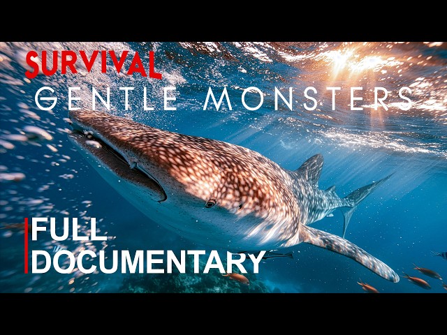 GENTLE MONSTERS | The Ocean Giants That Rule Without Violence | FULL DOCUMENTARY