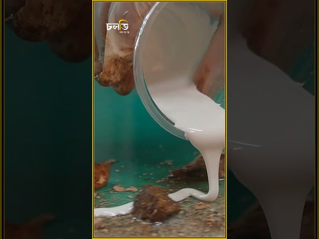 ‘১ কেজি মাংসের’ পেছনে কি ঘটেছিল