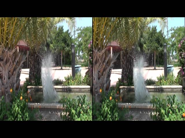 HD 3D Stereoscopic Slow Motion