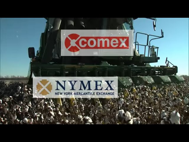 Agricultural Commodities: The Basics of Trading Futures and Options