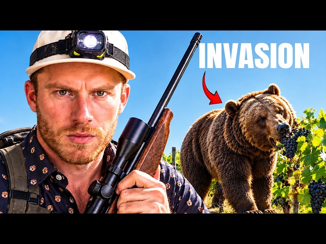 2 Weeks to Save My Winery From Bears