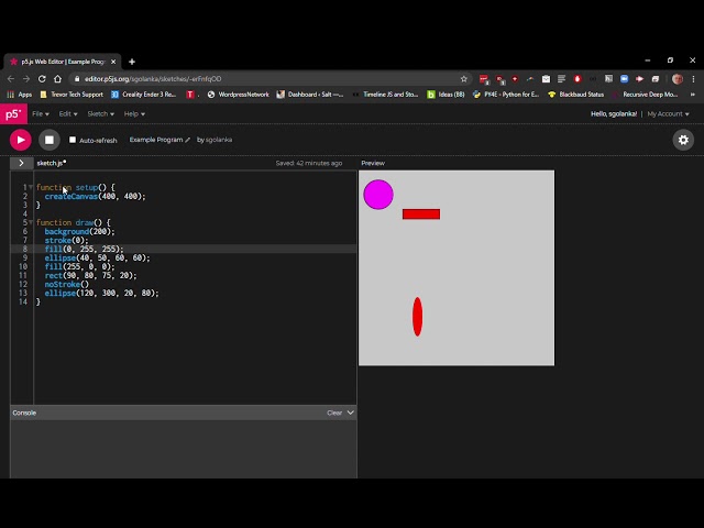 p5 js Web Editor   Example Program   2