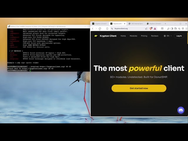 Kelihos Network - SHOWCASE [BOTNET/Api] | DDOS |